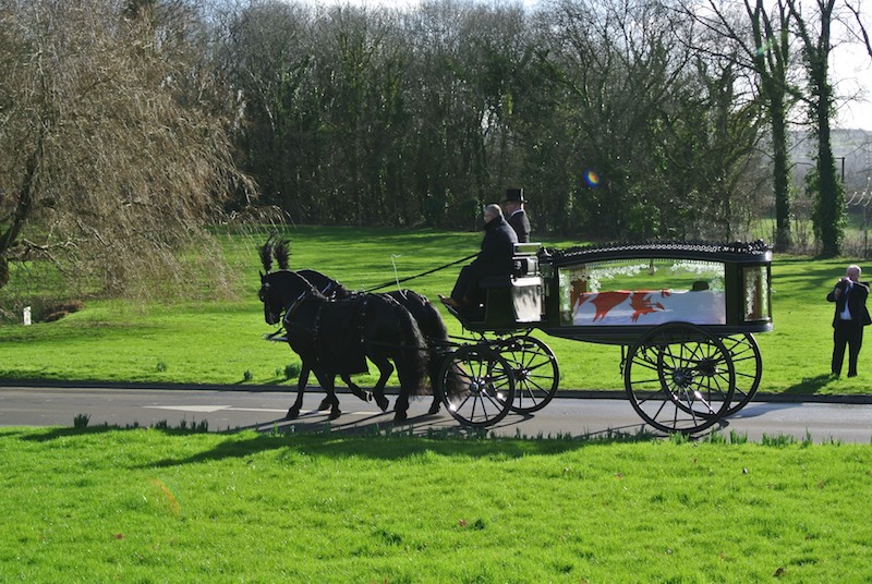 Kilvey-Carriage-Horse-Drawn-Carriage-Services-Wales-Cardiff-Bristol