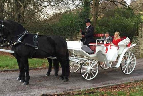 Kilvey-Carriages-Horse-Drawn-Carriage-Service-Carmarthen-Llanelli-Swansea-White Classic