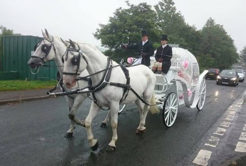 Kilvey-Carriages-Llanelli-Carriage-service-Horse-drawn-carriages