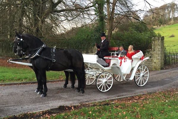 Kilvey-Carriages-Modris-Weddings-and-Funerals