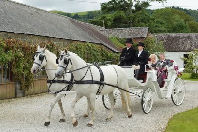 Kilvey-Carriages-Wedding-Carriages-Service-South-Wales