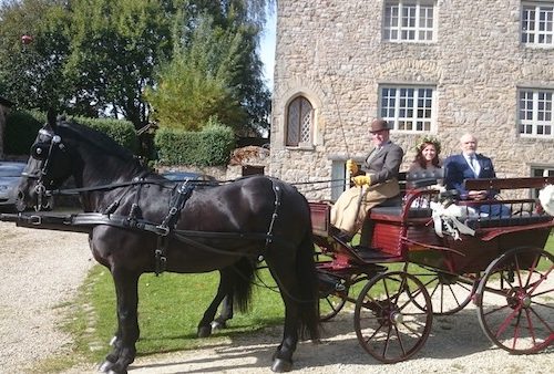 Kilvey-Carriages-Weddings-Horse-Carriages-Swansea-Llanelli-Cardiff-Traditional