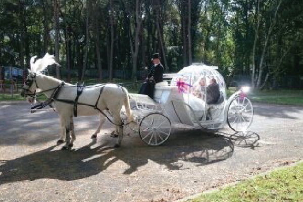 Kilvey-Carriages-Weddings-Services-Gallery-Images-10