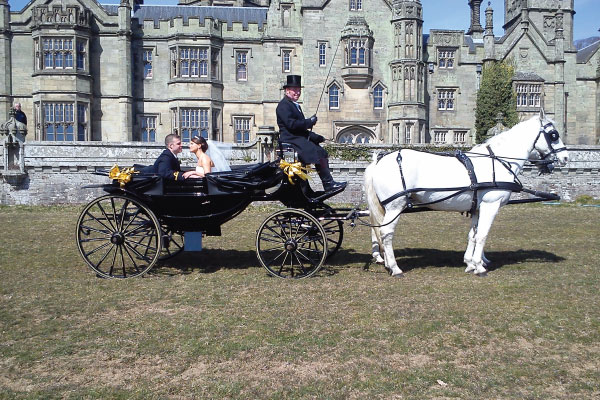 Kilvey Carriages Victoria Horse Carriage Wedding Swansea