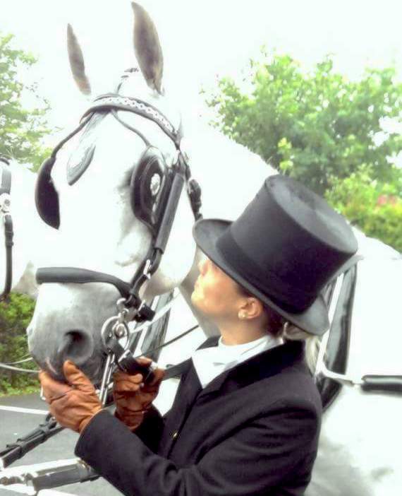 Horses Kilvey Carriages