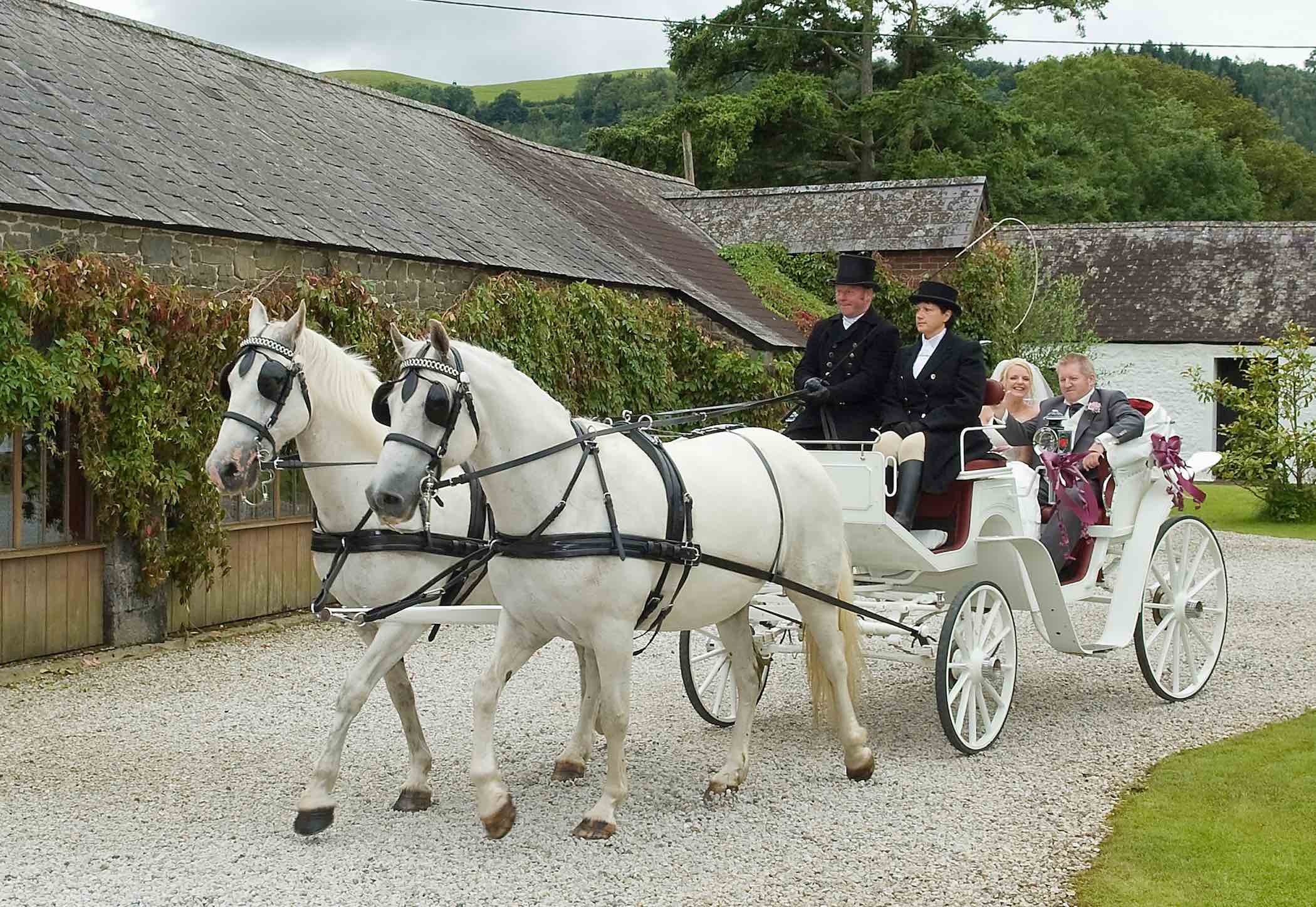 Kilvey Carriage Horse Drawn Carriages South Wales home Banner